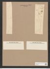 Pleurosigma formosum W.Sm. (de-Toni-Nr.: Genus 13, Species 1040) Zeichnungen Sammlung Grunow Nr. 2095 (NHMW-BOT-W0368966)